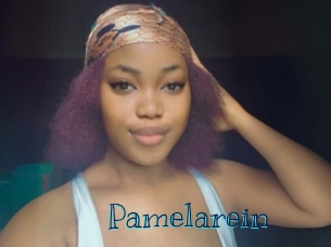 Pamelarein