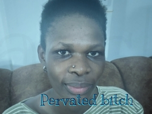 Pervated_bitch