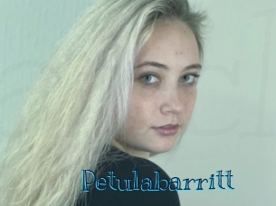 Petulabarritt