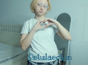 Petulaecton