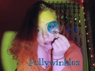pollywinkles Archive DVD BIZ