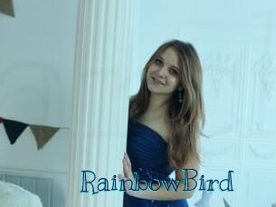 RainbowBird Archive DVD BIZ