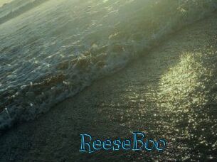 ReeseBoo