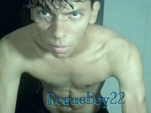 RogueBoy22