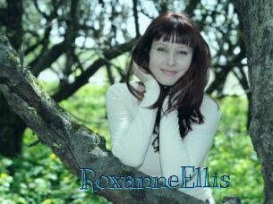 RoxanneEllis Archive DVD BIZ