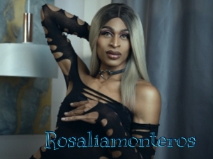 Rosaliamonteros