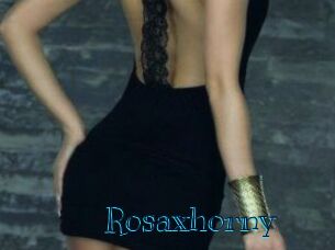 rosaxhorny Archive DVD BIZ