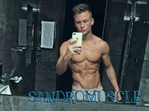 SANDRO_MUSCLE