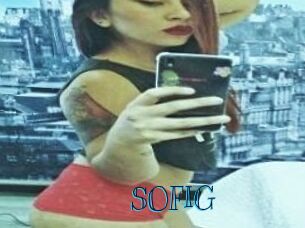 SOFI_G