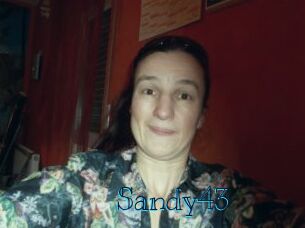 Sandy43