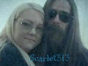 Scarlet313 Archive DVD BIZ