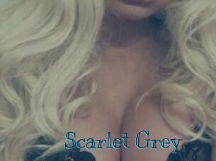 Scarlet_Grey