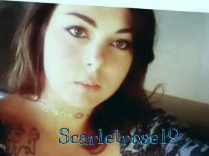 Scarletrose19