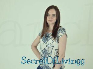 SecretOfLivingg