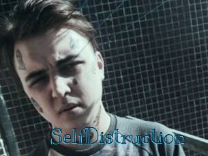 SelfDistruction