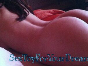 SexToyForYourDream