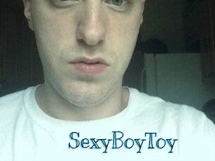 SexyBoyToy