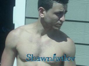 Shawn_Avilov