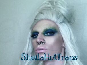 SheilaHotTrans