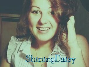 ShiningDaisy