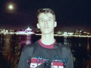 Shy_Gay