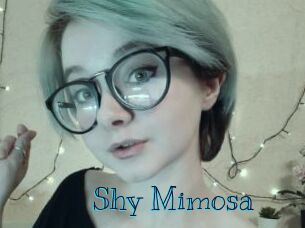 Shy_Mimosa