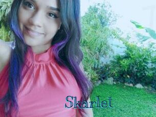 Skarlet Archive DVD BIZ