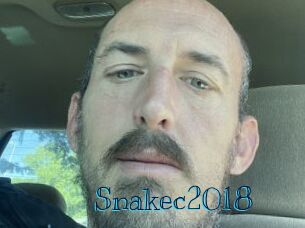 Snakec2018