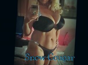 Snow_Cougar