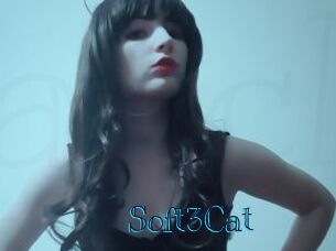 Soft3Cat Archive DVD BIZ