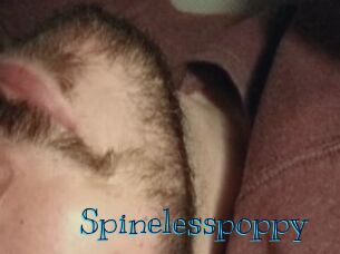 Spinelesspoppy