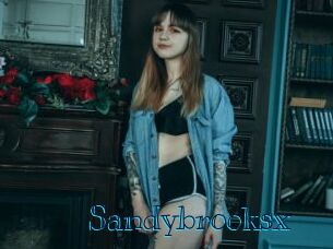 Sandybrooksx