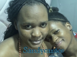 Sandycanice