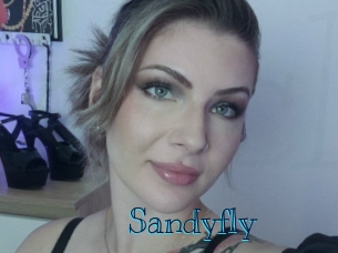 Sandyfly