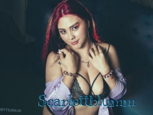 Scarlettblumm