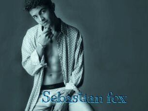 Sebastian_fox