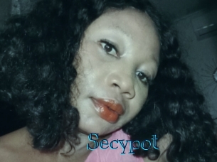 Secypot