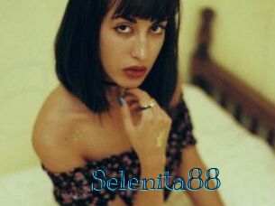 selenita88 Archive DVD BIZ