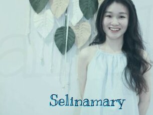 selinamary Archive DVD BIZ