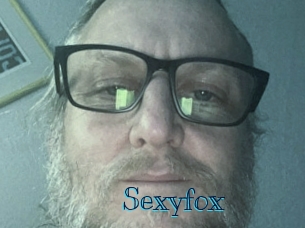 sexyfox Archive DVD BIZ