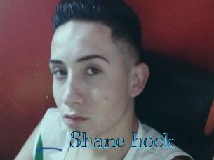 Shane_hook