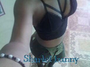 Sharlot_bunny