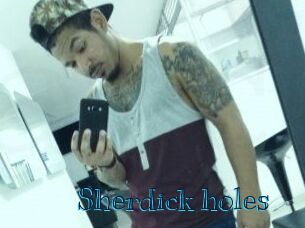 Sherdick_holes