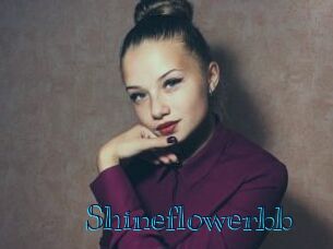 Shineflowerbb