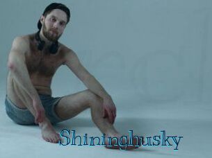 Shininghusky