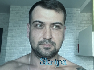 Skripa