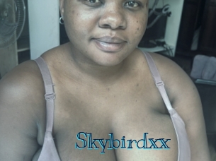 Skybirdxx