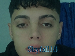 Skyfall18