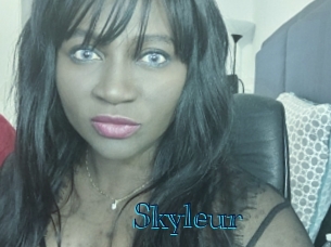 Skyleur