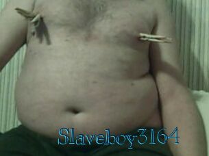 Slaveboy3164